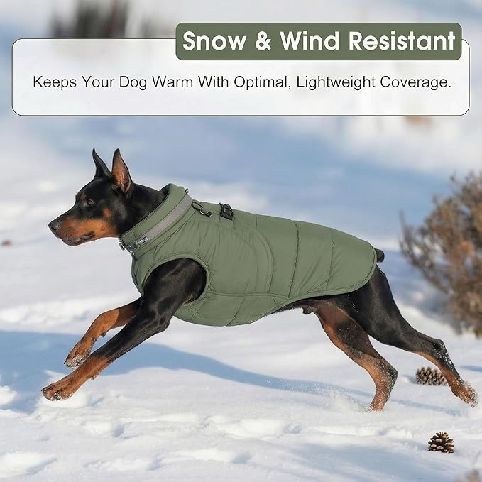 SAWMONG Dog Coat, Warm Dog Winter Coat, Waterproof Fleece Jacket, Cold Weather Dogs Jacket (L,Green)