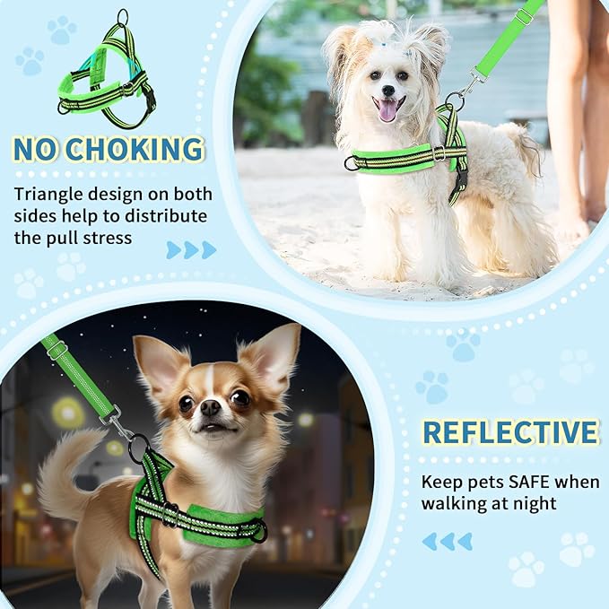 Lukovee Soft Padded Small Dog Harness (X-Small, Green) with 4ft Lightweight Leash, Adjustable Reflective Vest for Walking, Running, Hiking, Training