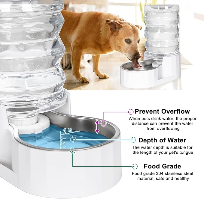 RIZZARI Automatic Gravity Pet Dispenser: Helps Prevent Urinary Stones - Activated Carbon Ion Exchange System - 6.5L Large Capacity Stainless Steel-Ideal for Cats & Small Dogs-All-Day Hydration at Home