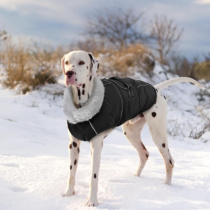 Lelepet Warm Dog Coats for Small Dogs Waterproof Dog Jacket Reflective Pet Fleece Vest Windproof Cold Weather Coats with Adjustable Buckle & Leash Hole, Black, S