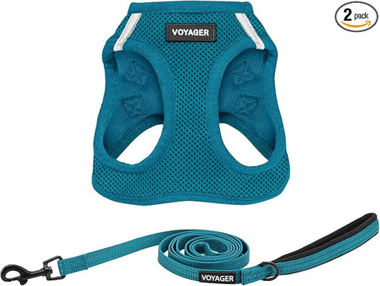 Best Pet Supplies Voyager Step-in Air All Weather Mesh Harness and Reflective Dog 5ft Leash Combo with Neoprene Handle, for Small, Medium and Large Breed Puppies - Turquoise, XXX-Small