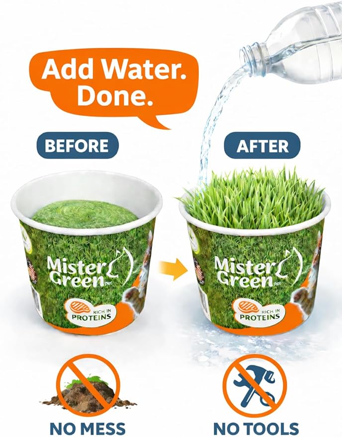 Cat Grass Grow Kit for Indoor Cats – Organic Cat Grass – Easy Grow Fresh Pet Grass – Supports Digestion & Natural Hairball Control – Non-Toxic – Pack (1)