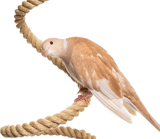 Boing Rope Perch for Parrots, Bendable Natural Sisal Spiral Hanging Bungee Perch with Stainless Steel Mount, Cotton Alternative Cage Accessory, Perch for Cockatiels, Parakeets, Doves, Budgies (6 ft)