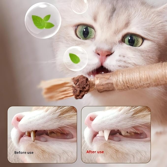 Natural Catnip Silvervine Sticks for Cats, 100% Organic Gall Fruit Mixed Chew Toys for Teeth Cleaning, Potent Cat Treats for Indoor Cats Boredom Relief & Digestive Health, 10 Count