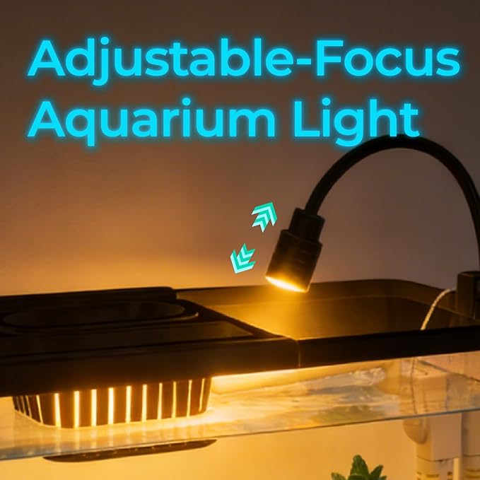 5 Gallon Fish Tank Aquarium Starter Kit with Filter and Light, All in One Small Fish Tank for Betta, Kids & Desktop Use, Self Cleaning Nano Aquarium with Lid(Large Black)