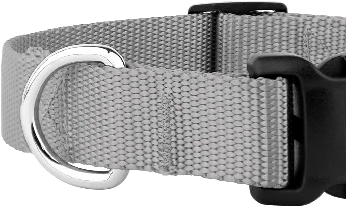 Country Brook Petz - Everyday Nylon Dog Collar and Leash - 10+ Cool Colors (3/8 Inch, Extra Small, Silver)