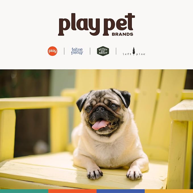 P.L.A.Y. Stuffed Dog Toys, ECO Bones - Extra Durable Squeaker Chew Toy, Great for Teething Puppies & Small, Medium, Large Dog Breeds - Machine Washable, Recycled Materials (Scout & About, Medium)