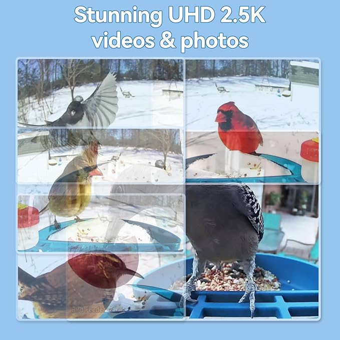 Bird Feeder with Camera Solar Powered,2.5K HD Video Bird House Live View,Smart AI Bird Species Identification for Outside Garden,Birds Bath,Ideal Gift for Birds Lover,Hummingbird (Blue)