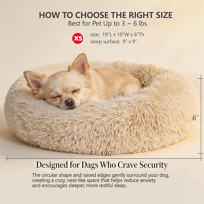 Calming Donut Dogs Beds for Small Dogs Washable,19inch Fluffy Round Puppy Bed for Puppies,Cats & Toy Breeds with Raised Rim,Fits up to 15 lbs Pets,Beige
