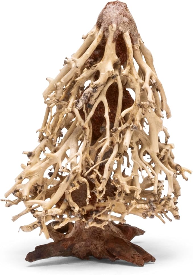 Ultum Nature Systems Bonsai - Handcrafted Hardscape Driftwood for Aquarium, Terrarium, Vivarium, Natural Aquascape Hardscape Decorations, Aquascaping Hardscape for Live Aquatic Plants - 009, Medium