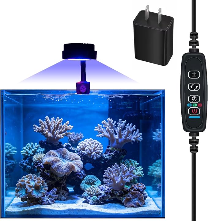 Nano Reef Light for Coral, LED Aquarium Light 5.2W USB Clip Lamp, Full Spectrum 455-620nm, Dimmable with Timer 3/9/12H, 360° Gooseneck Fish Tank Light for Saltwater Coral Tank with USB Power Adapter