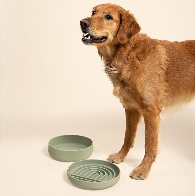 Should We Go? Slow Feeder for Dogs & Puppies, The Slowdown Bowl Silicone Slow Eating, Modern Lick Mat Design, Reduces Gulping, Fits 2.5 Cups, 9.5” Across x 1.5” Tall, Mealtime Challenge, Large-Sage
