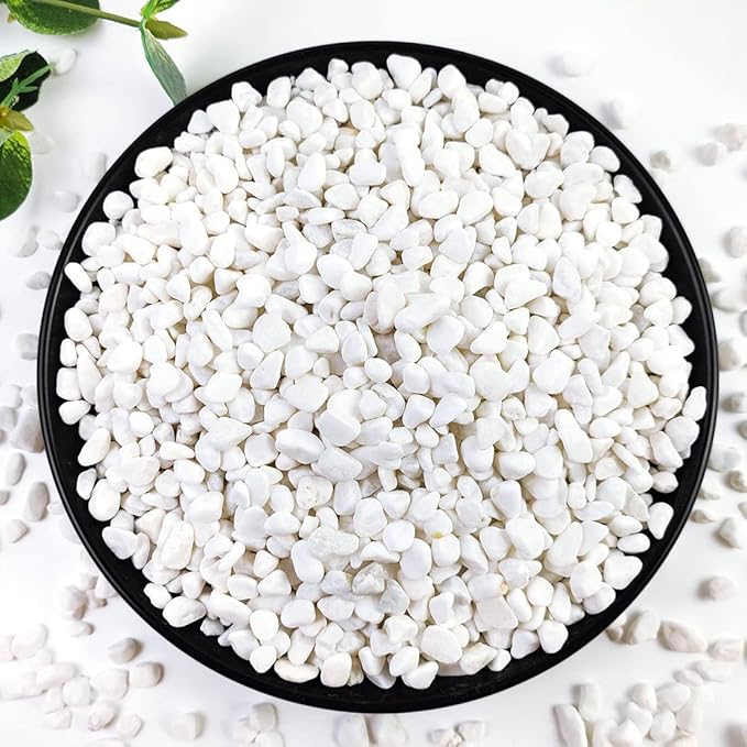 YISZM 10LB Succulent and Cactus Gravel, 1/5 Inch White Natural Decorative Polished Pebbles for Landscaping, River Rocks for Plants, Vases, Aquariums, Terrarium and Outdoor Gardening
