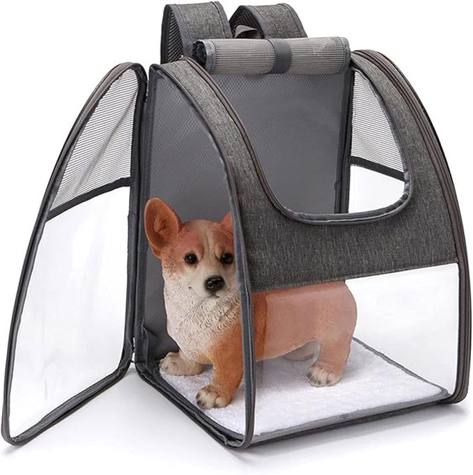 Bird Supplies Bird Parrot Travel Cage Foldable Portable Backpack Pet Parrot Cat and Dog Backpack Easy to Transport and Archive Outdoor Travel Supplies Bird Playground