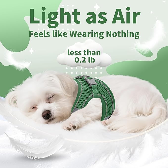 AIITLE Easy Walk Dog Harness and Leash Set - Pet Supply No Pull, Step in Adjustable Dog Harness with Padded Vest, Dog Harness No Choke Over, Easy to Put on Medium Dogs Green L