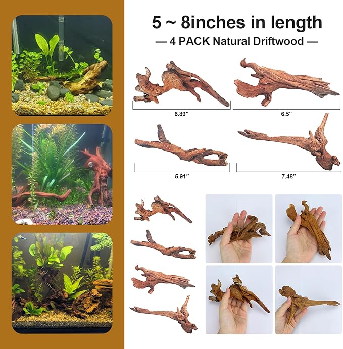 Natural Driftwood Decor for Aquarium Decorations Reptile Tank Accessories, Assorted Wood Branches Decorations on Reptile Fish Tank 2-10" 2 Pcs/4 Pcs/ 5 Pcs/ 6 Pcs (Pack of 4 (5. to 8 Inch))