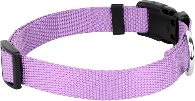Country Brook Petz - Everyday Nylon Dog Collar and Leash - 10+ Cool Colors (1 Inch, Large, Lavender)