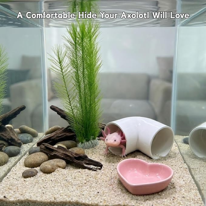 Axolotl Hide Tube with Feeding Dish & Silk Plant, 3-Piece Aquarium Set | Fish Tank Cave Decor for Axolotls, Shrimp & Small Fish, Includes Artificial Plant and Feeding Bowl (White, Large)