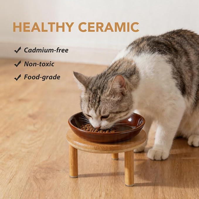 Havniva Elevated Cat Bowls Raised Ceramic Cat Bowl, 5.7” Wide Opening Cat Food Bowl Whisker Friendly Cat Dish Anti-Slip with Bamboo Stand, Shallow Pet Food & Water Bowl for Indoor Cats
