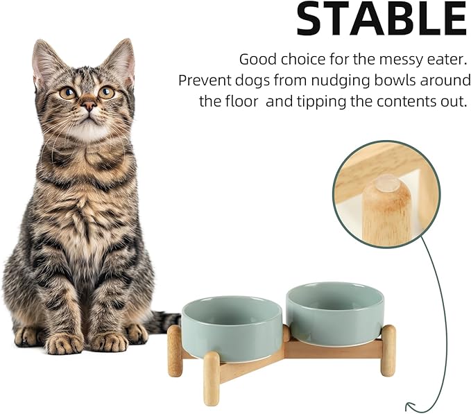 Havniva Ceramic 5.1inch Raised Double Bowls Set with Wooden Stand, Elevated Food & Water Bowls for Small Breed Dogs, Cats, Kitty, Weighted Dog Dishes, Pet Bowls(13.5oz, Light Green)