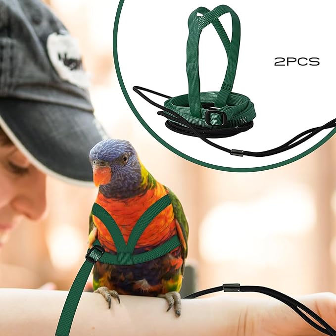 2 pcs Pet Parrot Bird Harness and Leash, Adjustable Training Design Anti-Bite, Outdoor Flying Training Rope Kit for Bird Parrots Fits Birds Chest Between35-62cm /13.78-24.41inch - L (Green