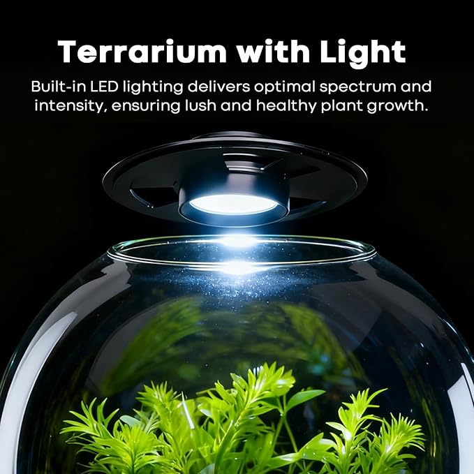 Desktop Glass Terrarium Bowl with Grow Light Adjustable(H:8" D:8"), for Succulent, Moss, Miniature Gardening Landscape, Betta Fish Tank, Indoor Plant Growth, Office Home Decoration, Lovers Gifts