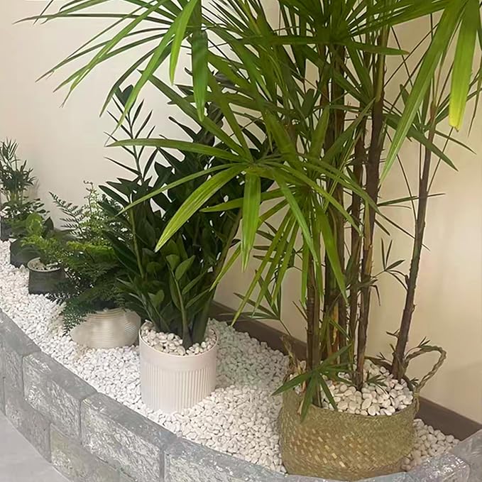 FANTIAN 20 lbs White River Rocks for Landscaping, 0.5-1 Inch Pebbles for Indoor Plants, Decorative Stones for Succulent, Cactus, Vases, Aquariums, Crafting and Garden