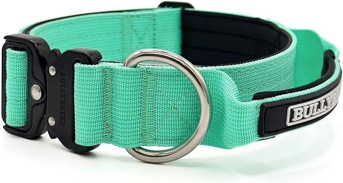 Heavy Duty Dog Collar, Tactical Dog Collar, Dog Collars for Medium Dogs, Waterproof Dog Collar, Dog Training Collar, Quick-Release Metal Buckle, Adjustable Sizes – BULLYBREED (Aquamarine, Medium)