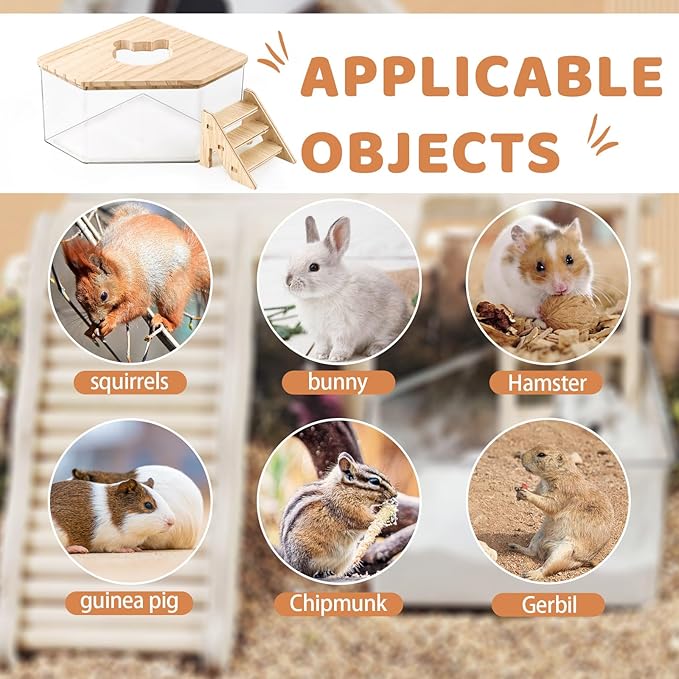 Hamster Sand Bath Box Container, Hamster Bath Sand Gerbil Sand Bath Hamster Dust Bath, Hamster Litter Box Chinchilla Dust Bath Hamster Accessories(Pentagon+Ladder) (Pentagon+Ladder)