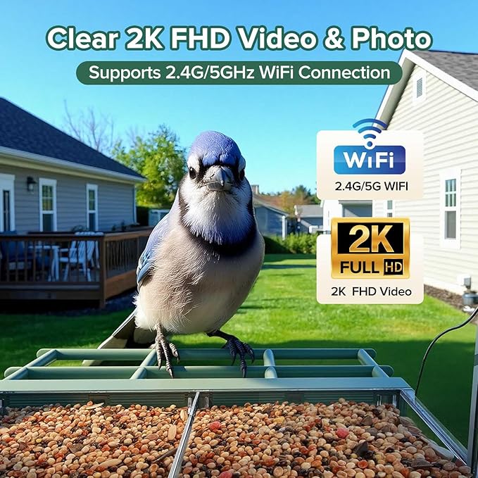 Window Bird Feeder with Camera for Bird Watching,2K Live Video,AI Bird Identification,Instant Arrival Alerts,24/7 Recording,Support 2.4G/5G WiFi,Featuring 5 Strong Suction Cups.