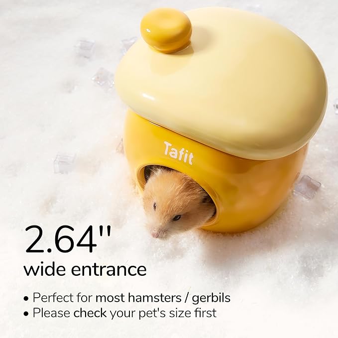 Ceramic Igloo Hamster Hideout - Green Small Animal Habitat Decor Hut for Syrian & Dwarf Hamsters, Gerbils, Mice, Rats - Four Seasons Home House