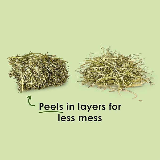 Kaytee Wafer Cut All Natural Timothy Hay for Pet Guinea Pigs, Rabbits & Other Small Animals, 11.25 Pounds