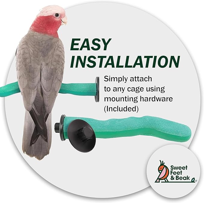 Sweet Feet & Beak Safety Pumice Bird Perch, Medium 1-1/4" X 12", Lightweight Grinding Bird Perches for Cage - Bird Nail Trimming Perch for Healthy Beak & Feet - Multi-Size & Color Parrot Stand - Blue