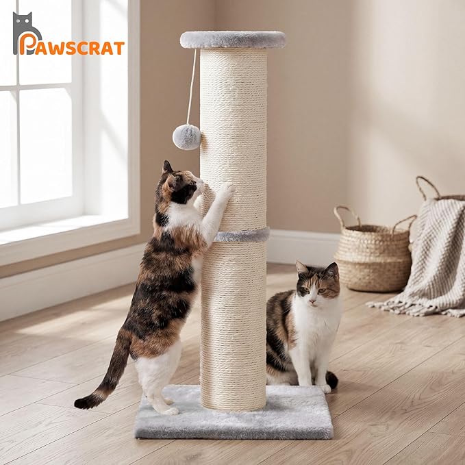 PAWSCRAT Cat Scratching Post 32" Tall, Large Diameter Natural Sisal Cat Scratch Post with Dangling Ball for Indoor Cats, Scratch-Resistant Durable and Protect Your Furniture, LightGrey