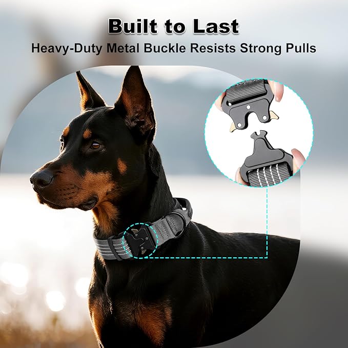 Plutus Pet Tactical Dog Collar with Tracker Pocket for AirTag, Adjustable Reflective Nylon Collar, Metal Buckle, Leather-Wrapped Handle, Soft Padded for Medium Large Dogs (Gray, M)