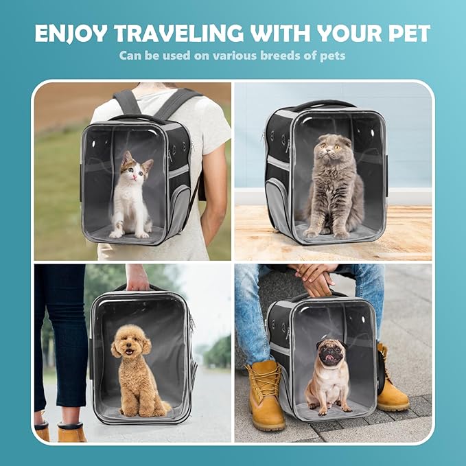 Clear Cat Backpack Carrier Dog and Cats Backpack Bubble, Space Capsule Cat Bag Carrier, Breathable and Suitable Panorama Pet Backpacks for Biking/Traveling/Camping/Walking (Black)