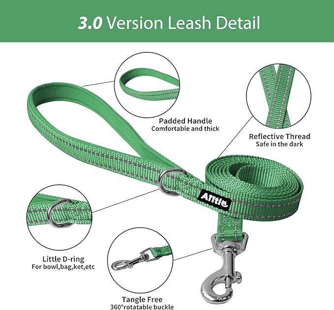 AIITLE Easy Walk Dog Harness and Leash Set - Pet Supply No Pull, Step in Adjustable Dog Harness with Padded Vest, Dog Harness No Choke Over, Easy to Put on Medium Dogs Green L