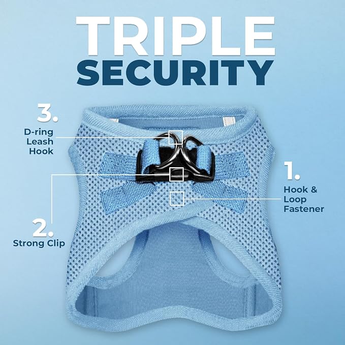 Best Pet Supplies Voyager Step-in Air All Weather Mesh Harness and Reflective Dog 5ft Leash Combo with Neoprene Handle, for Small, Medium and Large Breed Puppies - Baby Blue, X-Large
