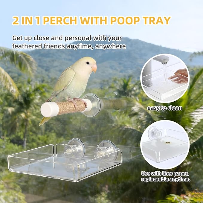 2-in-1 Bird Perch with Removable Tray | Suction Cup Bird Perch with Locking Guard & Feeder Tray | for Small and Medium Birds Like Parakeets, Cockatiels, Lovebirds, Conures(Clear,Medium)