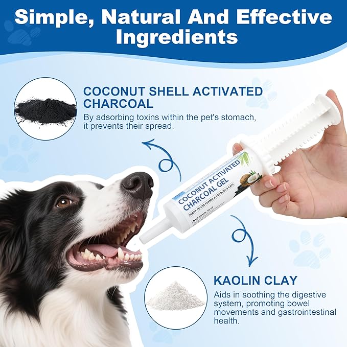 Pet Emergency Activated Charcoal Paste, Toxin Absorber for Dogs & Cats, Aids Digestive System Recovery, Pet First Aid Kit, 60 ml