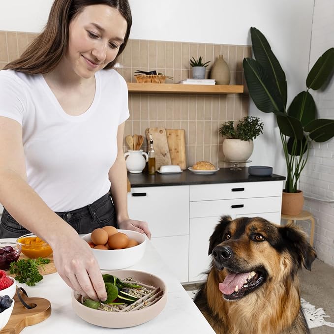 Should We Go? Slow Feeder for Dogs & Cats, The Slowdown Bowl Silicone Slow Eating, Modern Lick Mat Design, Reduces Gulping, Fits 2 Cups, 7.5” Across x 1.5” Tall, Mealtime Challenge, Medium-Sand