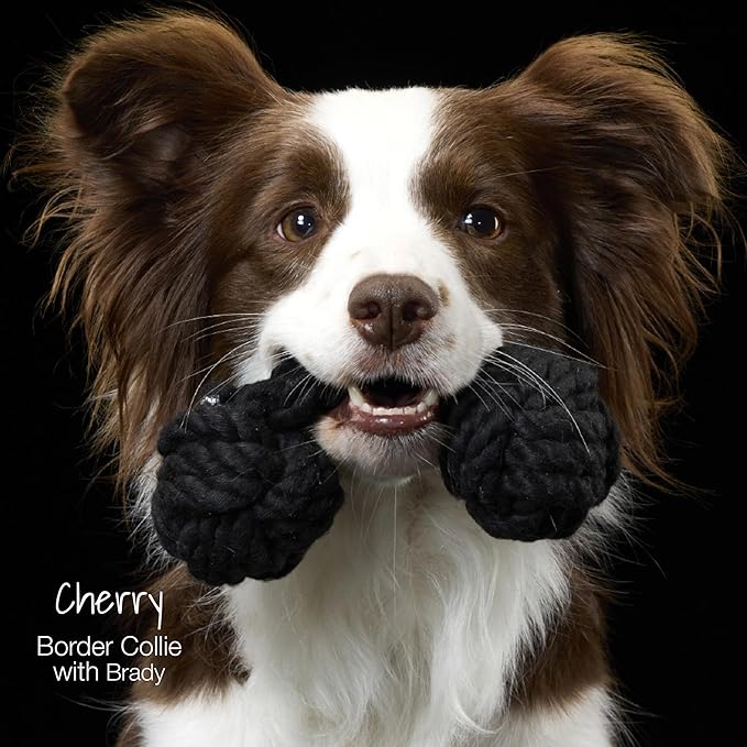 Pet Passion Brady The Rope Tug Toy 3-Pack Organic Cotton Dog Rope Pull Toys for All Pet Breeds, Black Ombre, One Size