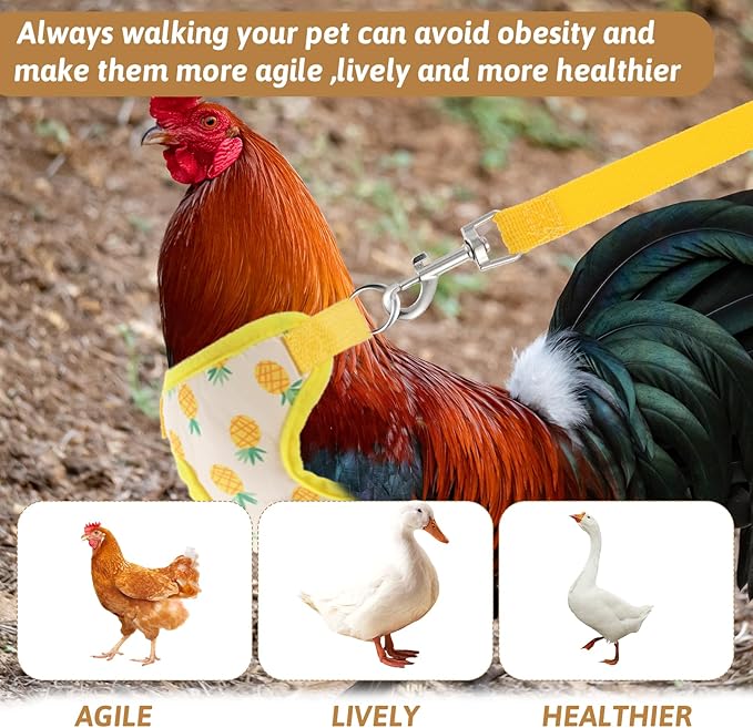 Prasacco Chicken Harness and Leash Set, 2 Pack Adjustable Chicken Vest with Leash Soft Polyester Breathable Harness for Hens Ducks Geese Training Walking M Size