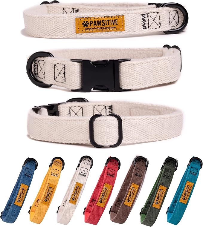 Pawsitive Hemp Dog Collar - Super Soft Hypoallergenic Lining. Great for Small, Medium and Large Dogs; Medium Natural