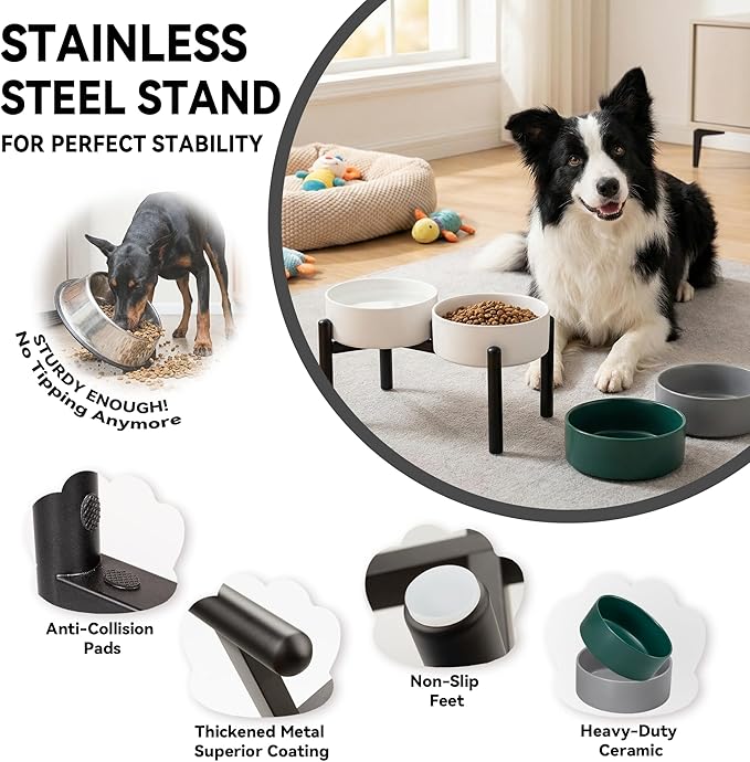 Dog Bowls Elevated - Ceramic Raised Dog Bowl with Non Slip Steel Stainless Stand - No Spill and Heated Feeding Station - Food and Water Dish Set for Medium to Large Pet - Each Holds 7.5 Cups – White
