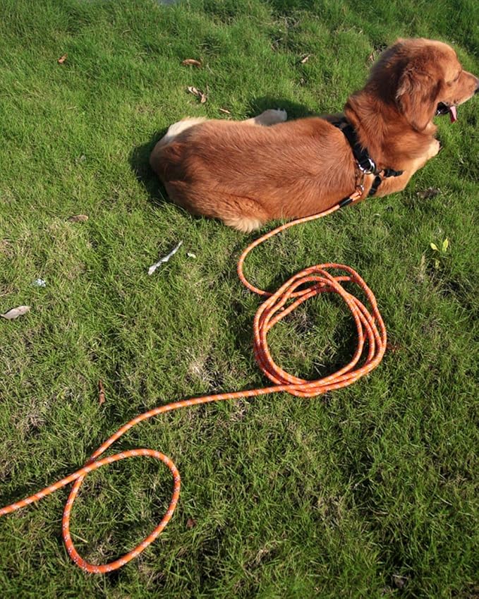 Long & Heavy Duty Dog Leash for Large, Medium & Small Dogs - Reflective Threads Rope Check Cord, 16FT/30FT/50FT/100FT for Training, Walking, Playing, Camping & Yard