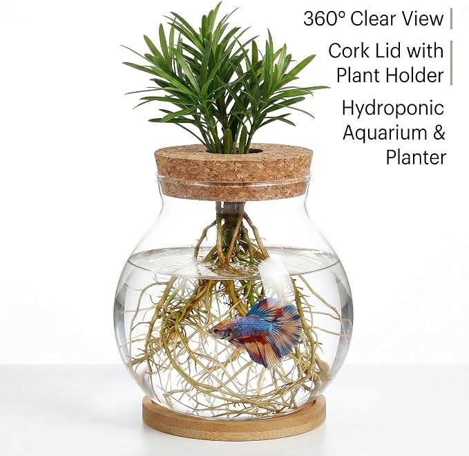 Homoyoyo Desktop Glass Fish Bowl with Wood Lid, Glass Plant Propagation Station Vase Betta Fish Tank, Small Round Hydroponic Terrarium Bottle for Water Plants Moss Desktop Decor Transparent 4. 3in