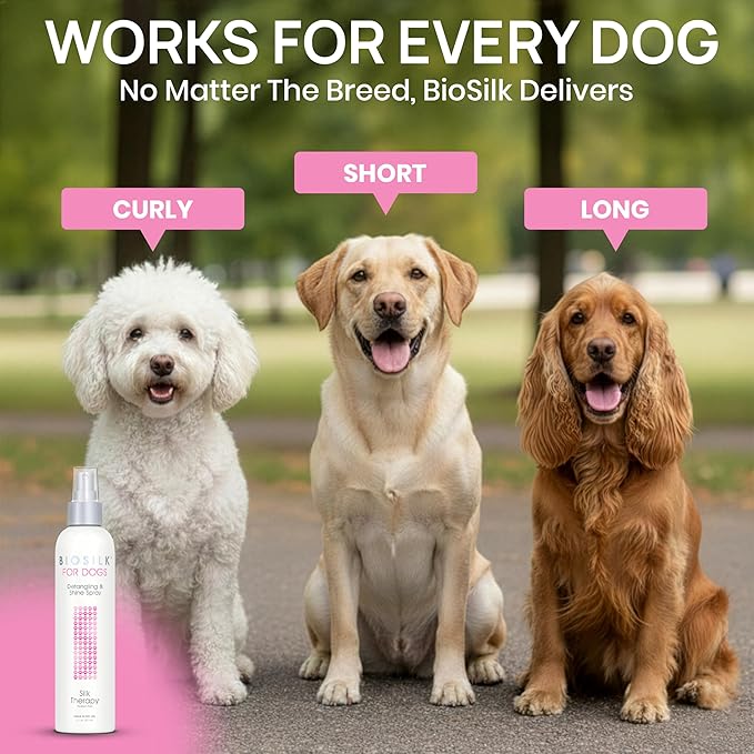 BioSilk for Dogs Silk Therapy Detangling and Shine Protecting Spray, pH Balanced Leave-in Mist with Silk and Vitamins for Dematting, Paraben-Free, All Coats and Breeds, 8 Fl Oz - 2 Pack