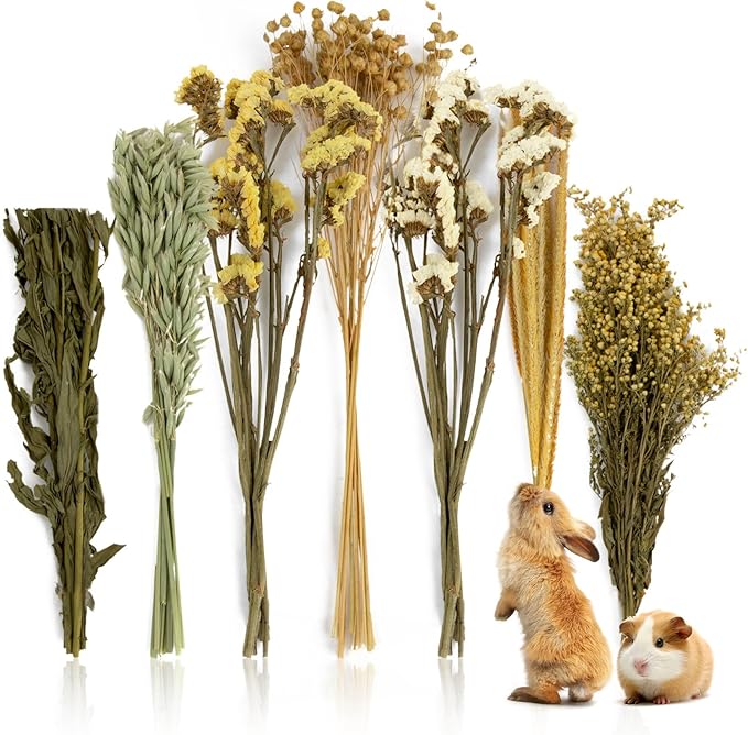 Sukh 47Pcs Natural Hamster Bedding - Flower Herb Sprays Enclosure Decor & Hideout Enriching Habitat Decor, Ideal for Dwarf Hamsters, Syrian Gerbils, Mice and Other Small Rodents