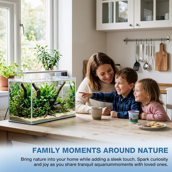 20 Gallon Rectangular Fish Tank, Rimless Ultra Clear Nano Aquarium | 6mm Thickness Ultra Clear Fish Tank for Betta/Turtle/Goldfish/Snails/Shrimp and Aquatic Planting